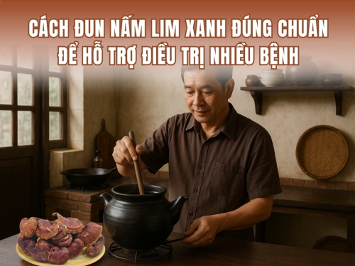 Cách đun nấm Lim Xanh đúng chuẩn để hỗ trợ điều trị nhiều bệnh